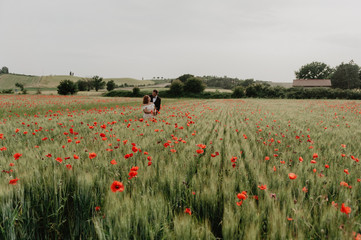 couple  in poppy field