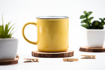 Mug and Plants