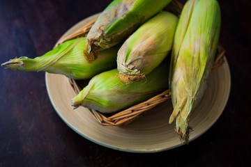 Ears of organic corn on a weaved basket. Harvested corn or Jagung.