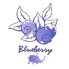 Obraz na płótnie Canvas Blueberry logo,gradient blot, hand drawn graphic element, stylized color sketch