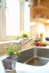 キッチンイメージ