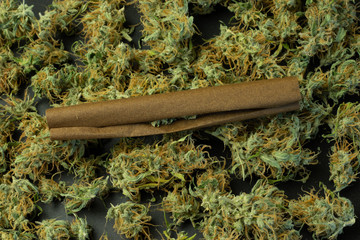 Cannabis rolled in blunt paper top view on marijuana buds background. Weed industry design