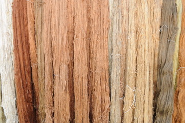 Silk thread from a dyed pupa.Silk thread from pupa.Traditional methods of collecting silk threads from chrysalis in Thailand