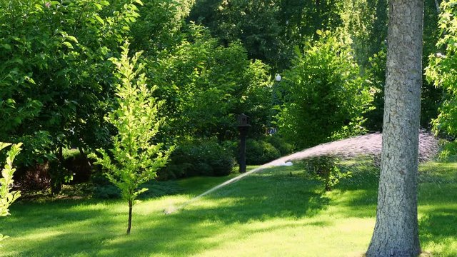 over green lawn, in a park or garden, a sprinkler is working. automatic sprinkler irrigation system or device for watering of lawn
