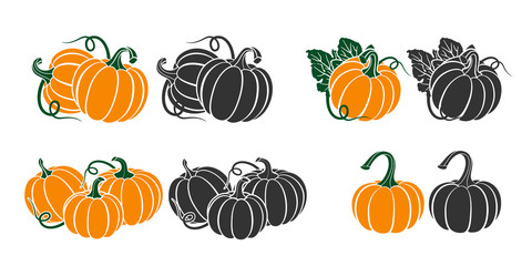 Pumpkins with leaves, silhouette on white background. - obrazy, fototapety, plakaty