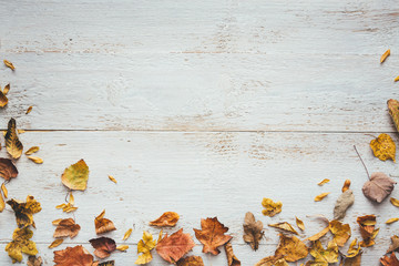 Autumn Leaves On White Wooden Planks - 371195938