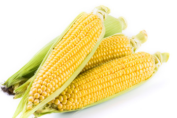Sweet corn isolated on white background