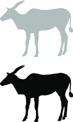 Fototapeta na wymiar silhouette of a antelope