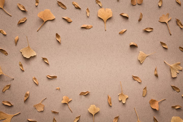 Autumn Leaves On Yellow Background - 371197521