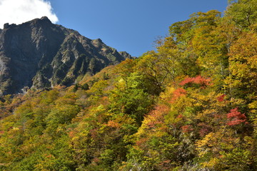 絶景紅葉　錦秋の谷川岳マチガ沢＆一の倉沢