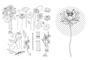 Hand drawn collection of lotus and vanilla flowers clipart. Floral design elements. Isolated on white background. Vector illustration.