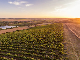 Ausblick von eine Weinberg auf Lüttchendorf am Süßen See in Sachsen-Anhalt bei Sonnenuntergang
