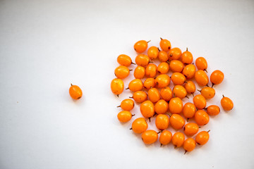 Organic sea buckthorn grains on a white background