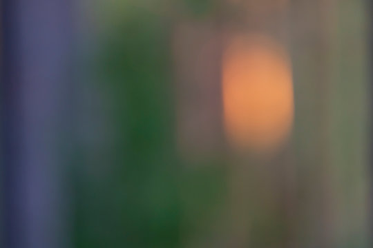 Forest in soft light and blur