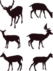 deer silhouette collection