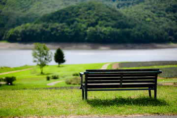 Fototapeta na wymiar Forest bench