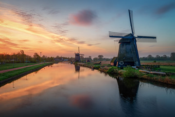 Fototapeta na wymiar Holland landscape of flowers, tulips and windmills