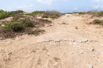 Partially  preserved small tiles in ruins of the - Turris Slinarum - Salt Tower fortress near to Jisr Ez Zarqa arab village. Located near the Atlit city in northern Israel
