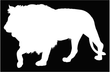 vector illustration of a lion