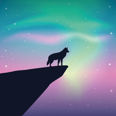 wildlife wolf looks in the colorful starry sky with aurora borealis vector illustration EPS10