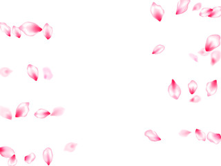 Spring tree flowers parts, airy flying petals