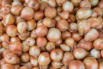 A lot of large and small ripe onions in the street market. Onion as a background of vegetables.