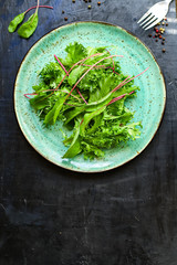 green salad leaves mix vegetables serving size organic healthy ething natural product portion top view place for text copy space second course keto or paleo diet raw