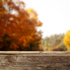 Naklejka na ściany i meble Table background of free space and autumn time 
