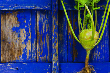Radish with roots and leaves, Lobo Sazonova on the background of a wooden blue retro texture, copy...