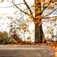 Table background of free space and autumn time 