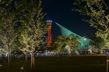 Night View of City of Kobe and port tower
