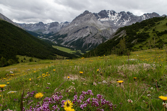 Das Val Mora im Schweizer Nationalpark Graub&uuml;nden
