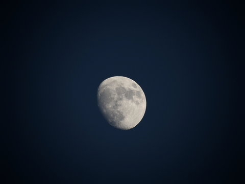 Luna acechando 