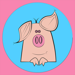 Vector Pig Drawing on blue and pink background