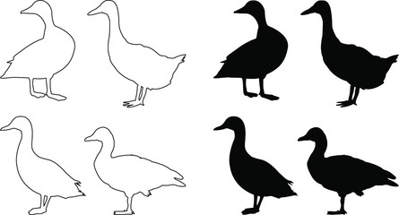 set of vector ducks