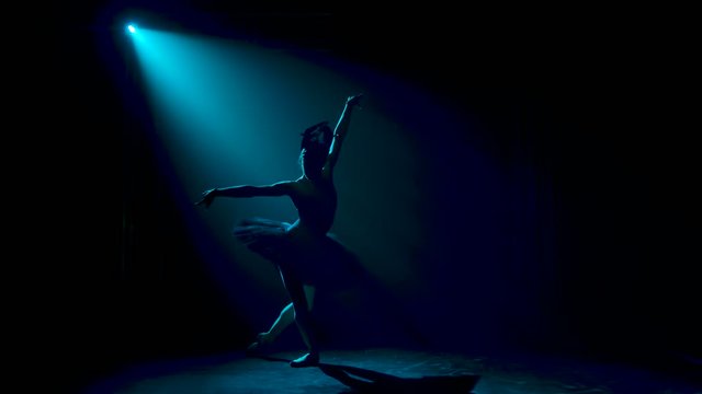 Silhouette of a graceful ballerina in a chic image of a black swan. Dancing of elements classical ballet. Shot in a dark studio with smoke and neon lighting.