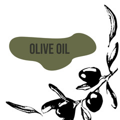 Design for olive oil packaging with the text 