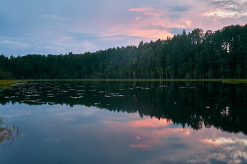 Reflection of sunset and forest in the lake