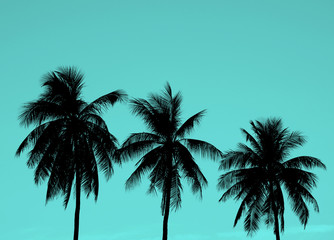 silhouette coconut tree on blue background