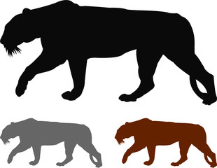 silhouette of a tiger