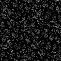 Fennel leaves black and white