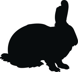 vector illustration of a rabbit