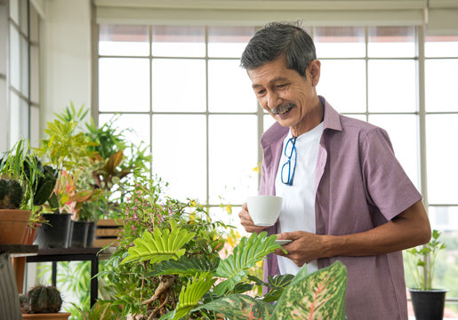 Senior Asian Retirement Old Man In Casual Outfit Doing A Hobby With Happy And Relax Enjoy Drinking Coffee And Looking The Tree Plant In Greenhouse Garden Farm