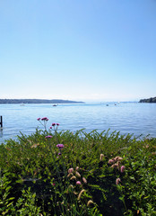 Starnberger See