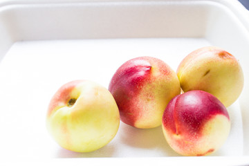 peach on wite background