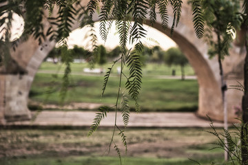 Vista de una planta con puente al fondo