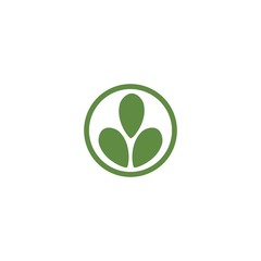 Fototapeta premium Moringa leaf Logo Template vector