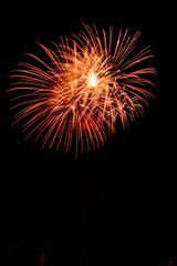 Fototapeta premium Amazing fireworks show in the dark sky