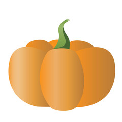 Pumpkin isolated on white background for design, vector stock illustration with vegetable or pumpkin as a concept of harvest, fertility, halloween