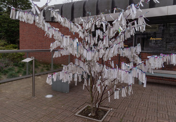 tree of peace near the palace of peace in The Hague in the Netherlands